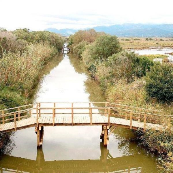 albufera